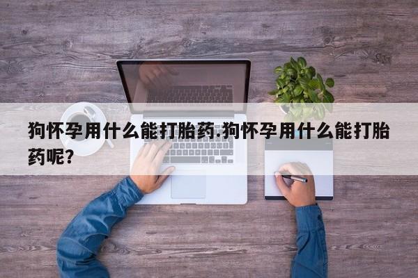 米非米索网上药店官网狗怀孕用什么能打胎药.狗怀孕用什么能打胎药呢？