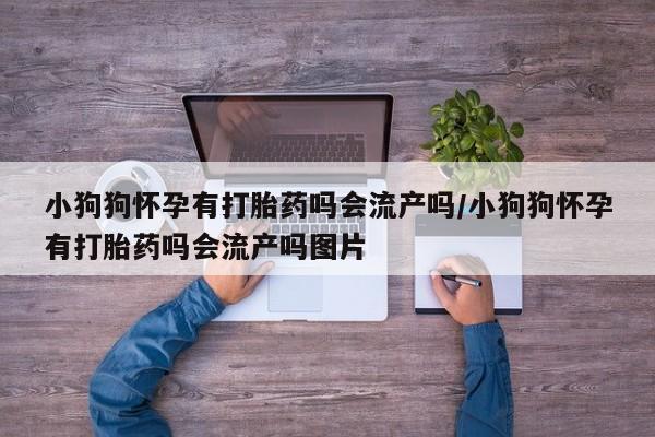 米非米索网上药店官网小狗狗怀孕有打胎药吗会流产吗/小狗狗怀孕有打胎药吗会流产吗图片