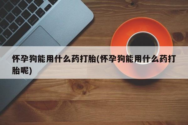 米非米索网上药店官网怀孕狗能用什么药打胎(怀孕狗能用什么药打胎呢)